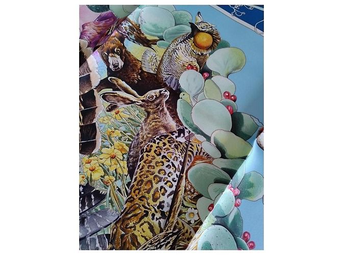 Hermès Foulard in seta Fauna e Flora del Texas 90 di Kermit Oliver Multicolore - vista 12