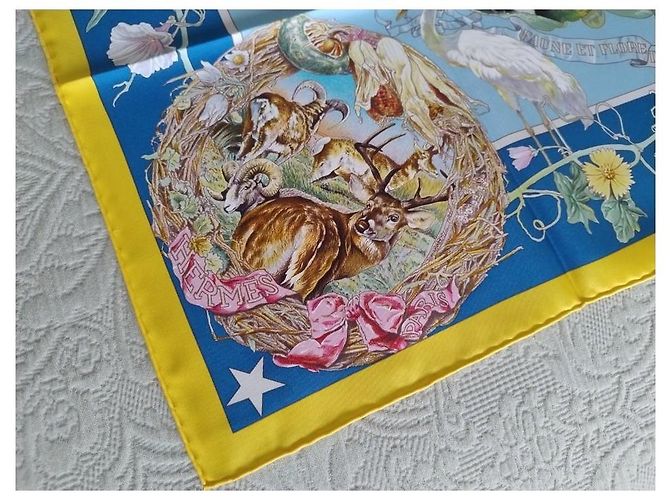 Hermès Foulard in seta Fauna e Flora del Texas 90 di Kermit Oliver Multicolore - vista 15