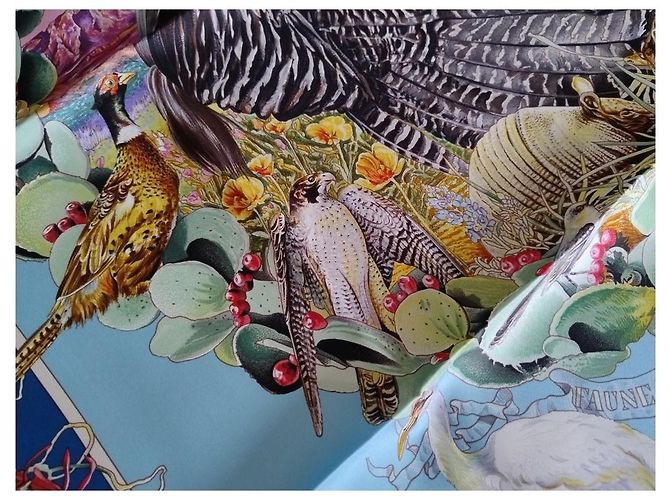 Hermès Foulard in seta Fauna e Flora del Texas 90 di Kermit Oliver Multicolore - vista 16