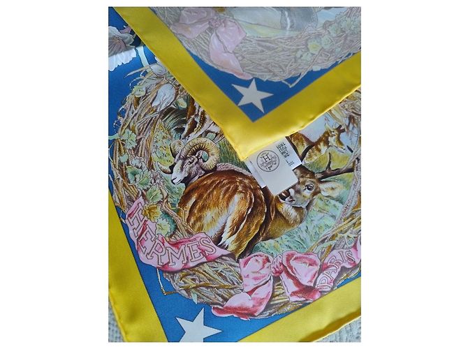 Hermès Foulard in seta Fauna e Flora del Texas 90 di Kermit Oliver Multicolore - vista 7