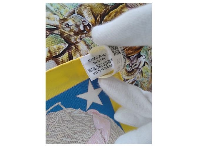 Hermès Foulard in seta Fauna e Flora del Texas 90 di Kermit Oliver Multicolore - vista 8
