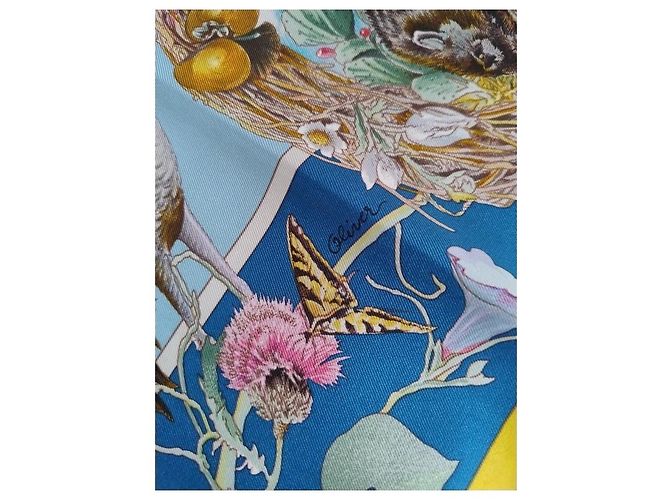 Hermès Foulard in seta Fauna e Flora del Texas 90 di Kermit Oliver Multicolore - vista 9