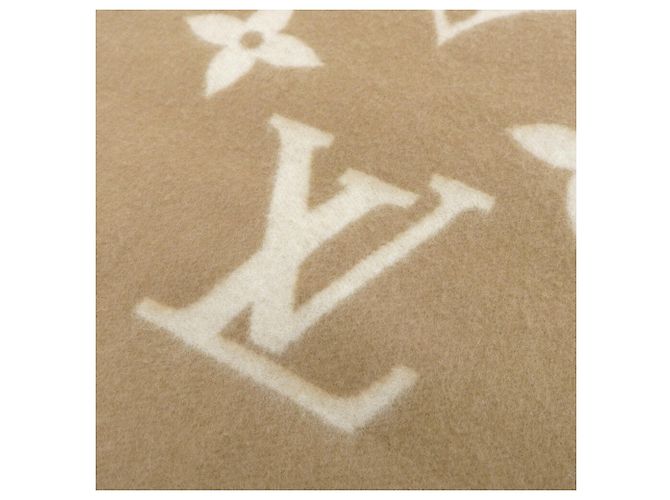 Stola Reykjavik in cashmere Monogram Louis Vuitton Marrone - vista 5