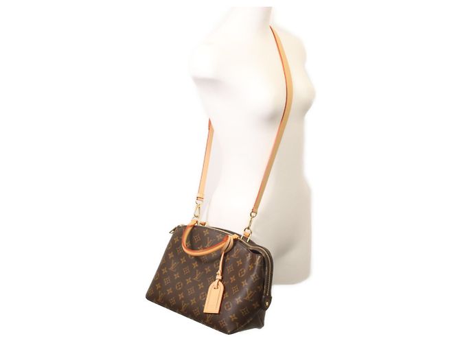 Borsa a mano Petit Palais PM Monogram Louis Vuitton Marrone - vista 11