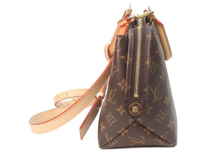 Borsa a mano Petit Palais PM Monogram Louis Vuitton Marrone - vista 2