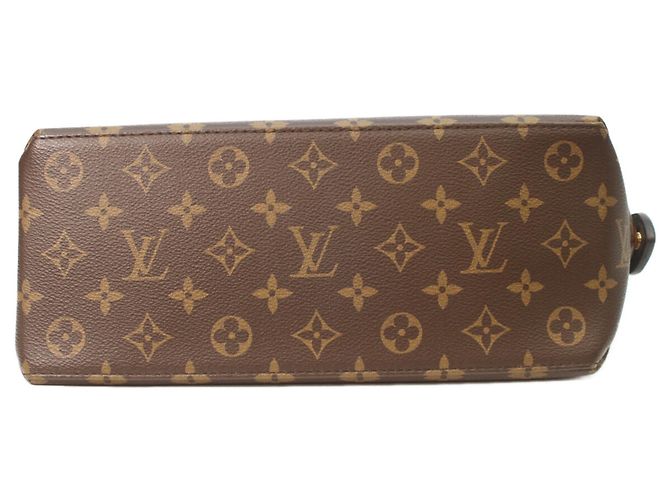 Borsa a mano Petit Palais PM Monogram Louis Vuitton Marrone - vista 5