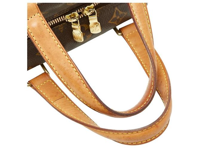 Borsa a mano Monogram Excentri Cite di Louis Vuitton Marrone - vista 9