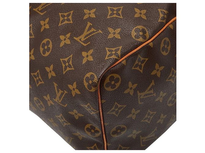 Borsa a mano Louis Vuitton Speedy40 Monogram Marrone - vista 4