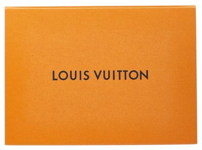 Sciarpa Logomania in Lana e Seta Monogramma Louis Vuitton Rosso - vista 5