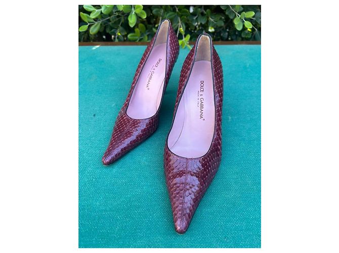 Dolce & Gabbana Bordeaux Python Heels Dark red - view 5