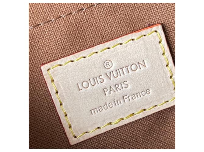Louis Vuitton Monogram Multi Pochette Accessori Marrone - vista 10