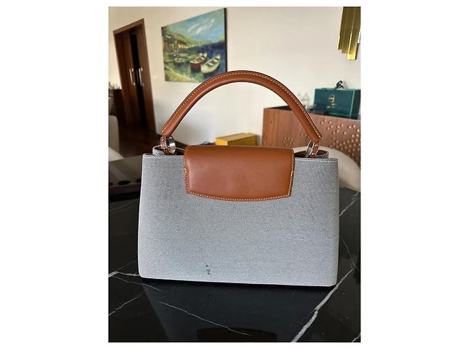 Capucines Borsa Louis Vuitton Capucine Grigia Grigio - vista 2