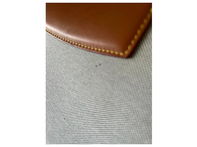 Capucines Borsa Louis Vuitton Capucine Grigia Grigio - vista 5