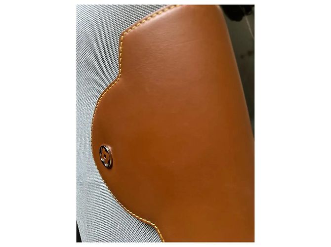 Capucines Borsa Louis Vuitton Capucine Grigia Grigio - vista 6