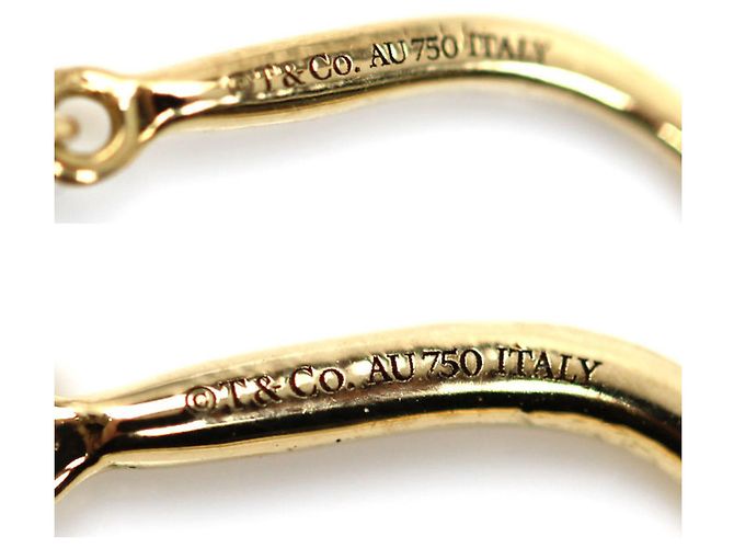 Tiffany & Co Orecchini a sfera in oro giallo 18K con hardware Tiffany - vista 5