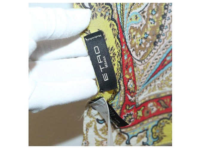 Etro Großer Schal aus Seide in Multicolor Auth am11161A Mehrfarben - Ansicht 15