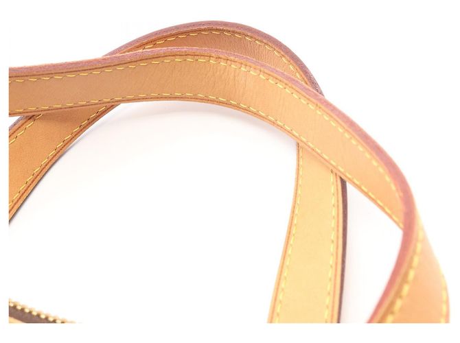 Borsa Louis Vuitton Palermo PM Marrone - vista 4