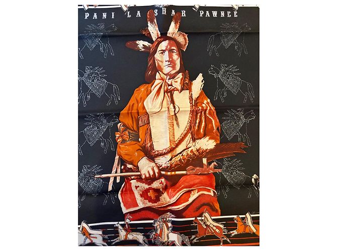 Hermès: Gavroche raro "Pani la shar Pawnee" 45 cm O. Kermit Multicolore - vista 4