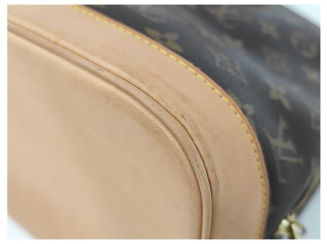 Borsa Alma Louis Vuitton in tela Monogram MM Marrone - vista 4