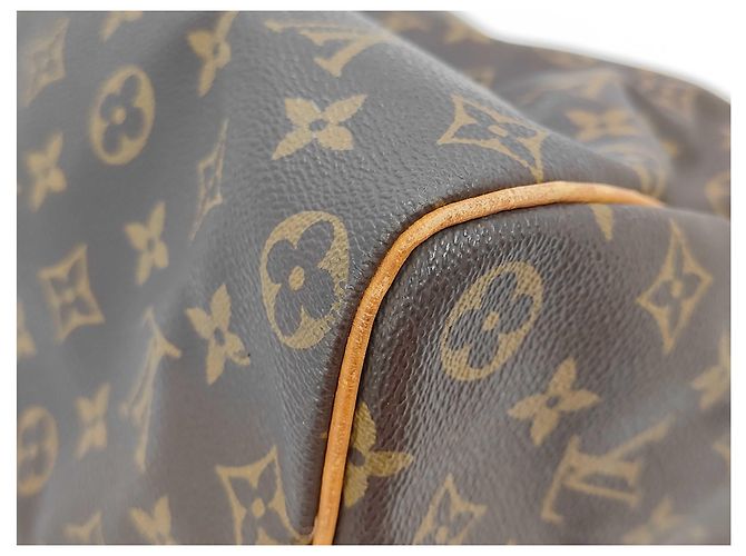 Borsa a mano Speedy Louis Vuitton in tela Monogram 40 Marrone - vista 3
