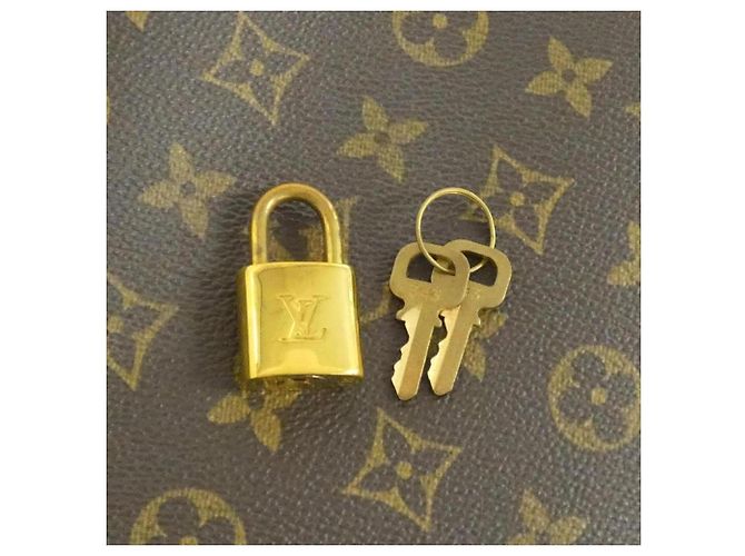 Borsa a mano Bowling Vanity Monogram Louis Vuitton M47270 Marrone - vista 4