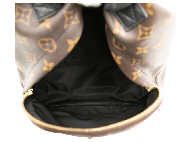 Zaino Palm Springs PM Monogram Louis Vuitton Marrone Nero - vista 4
