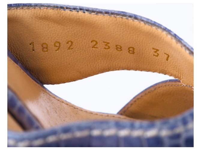 Wedge in pelle Sergio Rossi Blu Marrone chiaro - vista 6