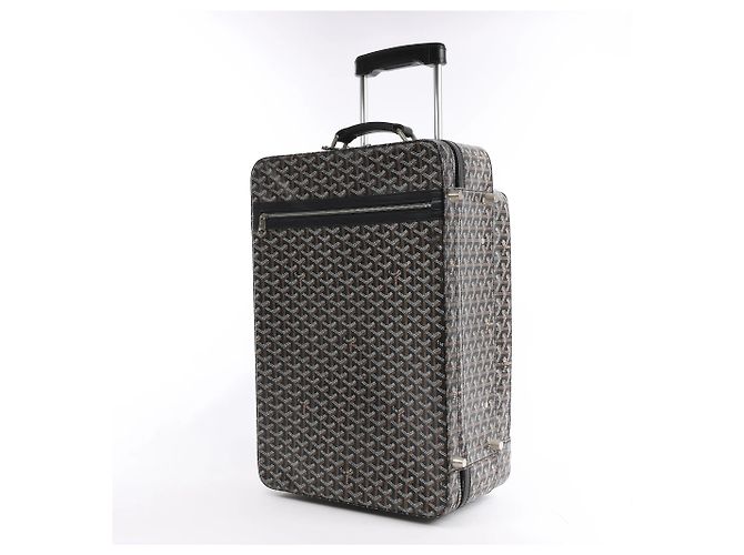 Bolsa de viagem Goyard Trolle PM em PVC e couro marrom - vista 2