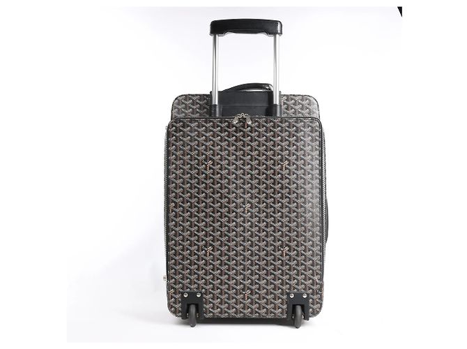 Bolsa de viagem Goyard Trolle PM em PVC e couro marrom - vista 4