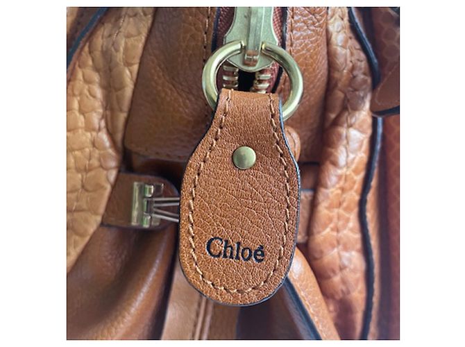 Chloé Paraty Bag in Brown Python Leather - view 5