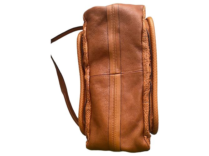 Chloé Paraty Bag in Brown Python Leather - view 6