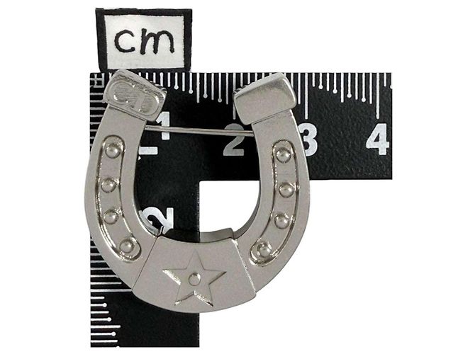 Spilla a forma di ferro di cavallo da uomo Christian Dior - vista 8