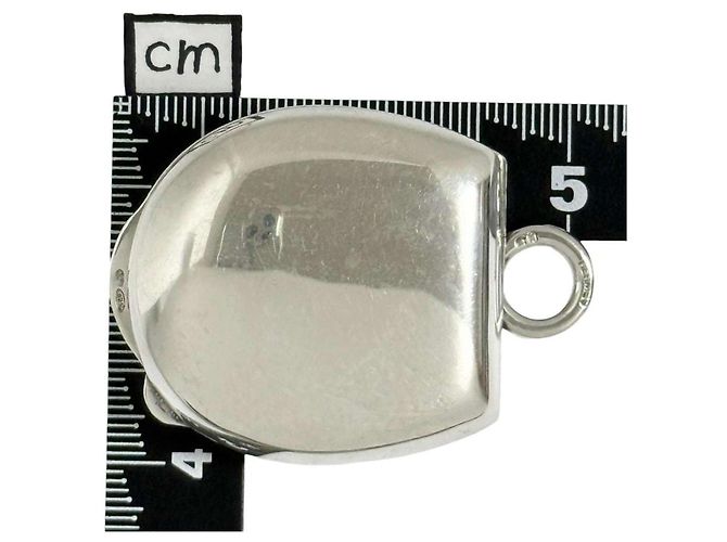 Hermès Collana Pendente Unisex Lanieres Porta Pillole Hermes Argento - vista 8