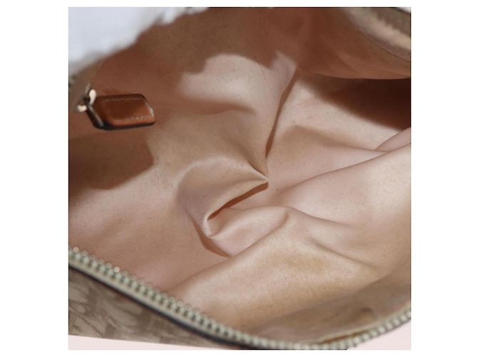 Borsa a spalla Christian Dior Trotter Romantic in PVC beige argento Auth BAZ781 - vista 17