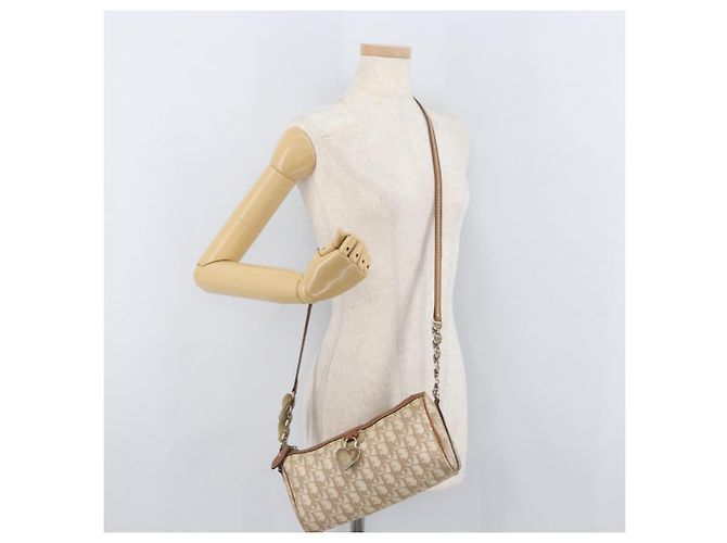 Borsa a spalla Christian Dior Trotter Romantic in PVC beige argento Auth BAZ781 - vista 23