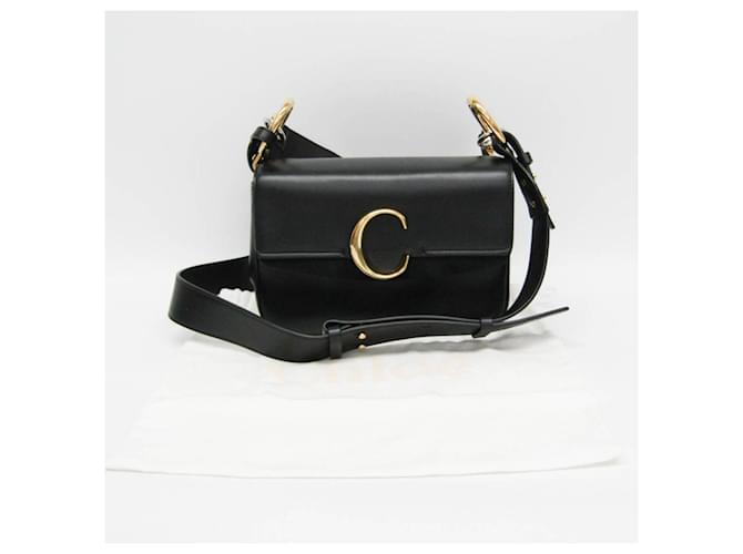 Borsa Double Carry C di Chloé Nero - vista 2
