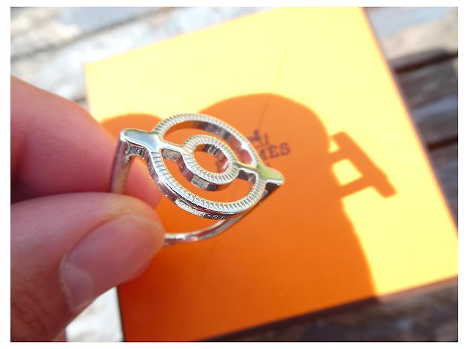 neuer Hermès Schalring aus palladiumbeschichtetem Silberstahl mit einer Hermès-Box Silber Hardware - Ansicht 2