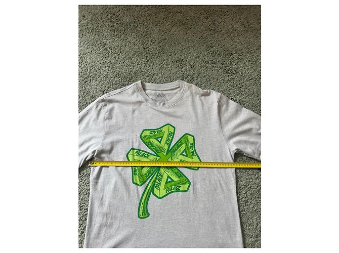 Autre Marque T-shirt Palace Skateboards Strike It Lucky Verde Grigio - vista 6