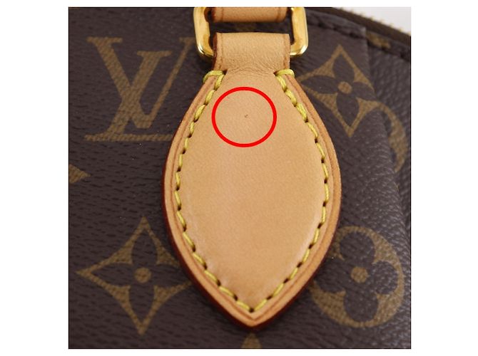 Borsa Louis Vuitton Livory PM Marrone - vista 10