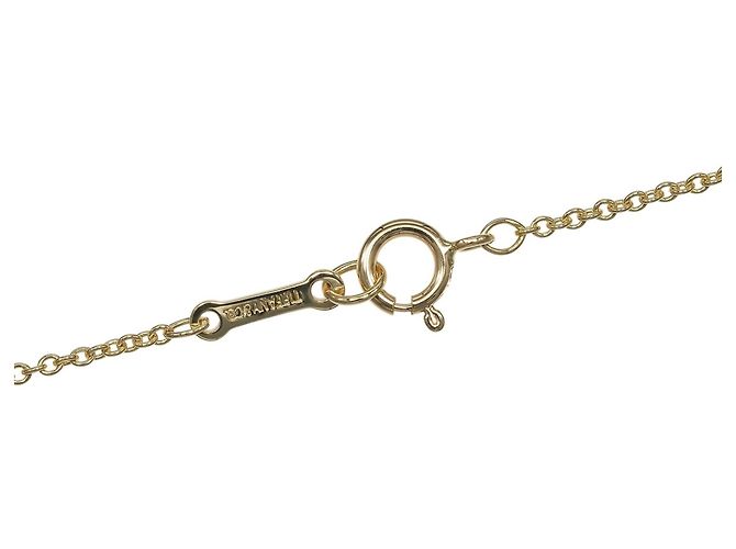 Collana a forma di Mela in Oro Giallo 18K di Tiffany & Co. - vista 7