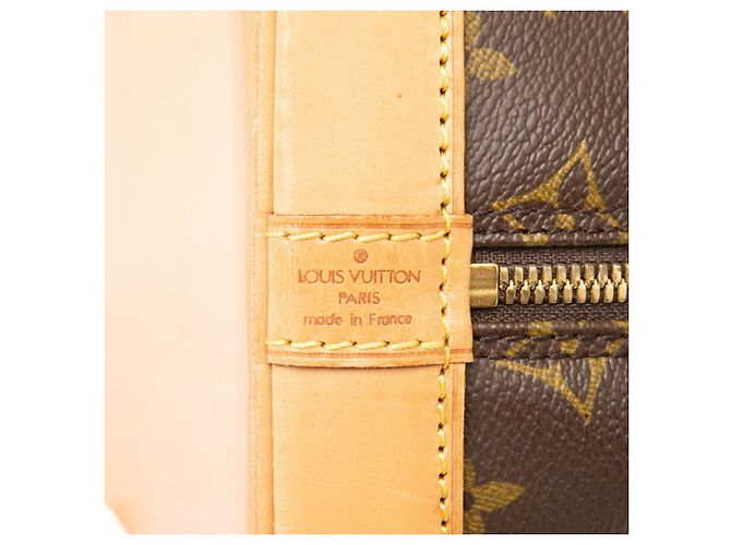 Borsa Alma PM Monogramma Louis Vuitton Marrone - vista 5