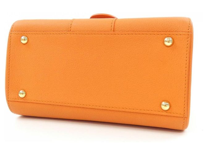Borsa Delvaux Brillant Rodeo in vitello Arancione - vista 4