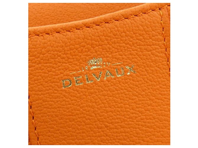 Borsa Delvaux Brillant Rodeo in vitello Arancione - vista 5