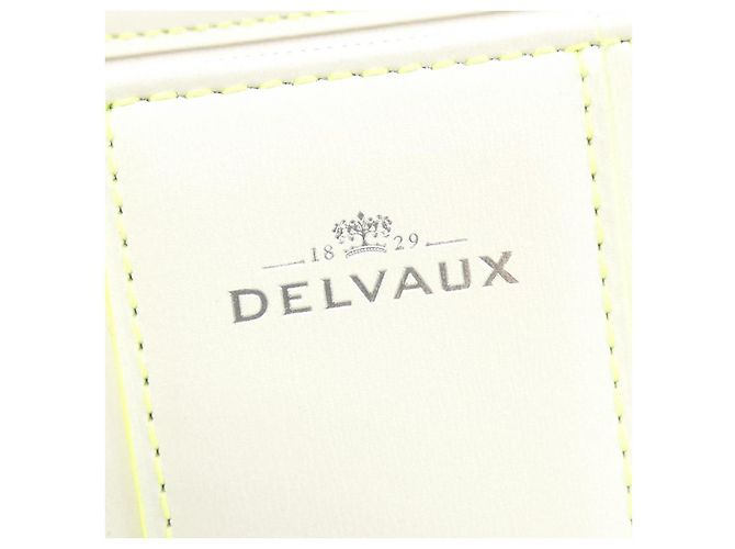 Borsa Delvaux Brillant in pelle di vitello Bianco - vista 5