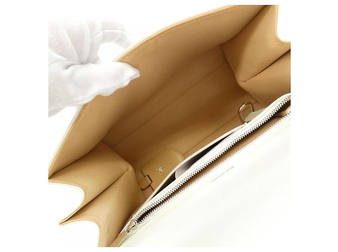 Borsa Delvaux Brillant in pelle di vitello Bianco - vista 6