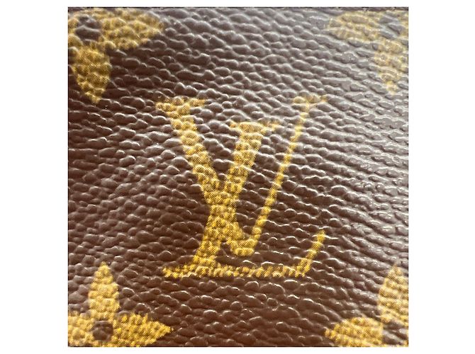 Borsa Louis Vuitton Trotter Monogram Panda Murakami Marrone Multicolore - vista 12