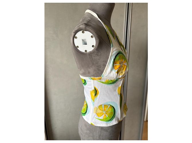 Corsetto Bustier con Stampa di Limone Christian Dior - vista 3