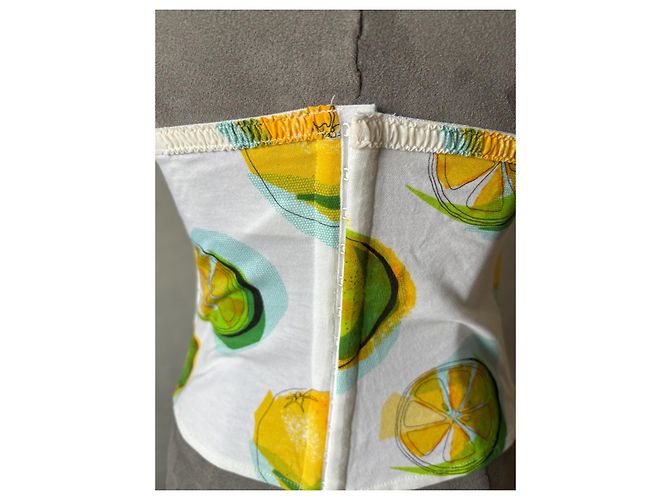Corsetto Bustier con Stampa di Limone Christian Dior - vista 5