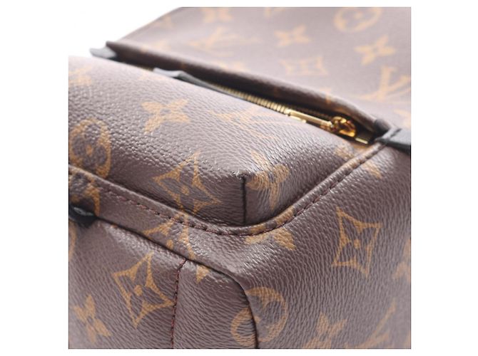 Zaino Mini Palm Springs Louis Vuitton Marrone Nero - vista 5