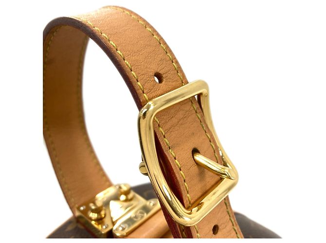 Borsa Louis Vuitton Monogram Petite Boite Chapeau Monogramma - vista 18